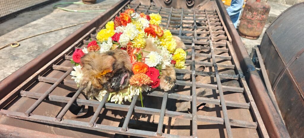 datta pets funeral services